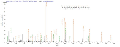 Based on the SEQUEST from database of E.coli host and target protein, the LC-MS/MS Analysis result of this product could indicate that this peptide derived from E.coli-expressed Triticum aestivum (Wheat) WAXY.