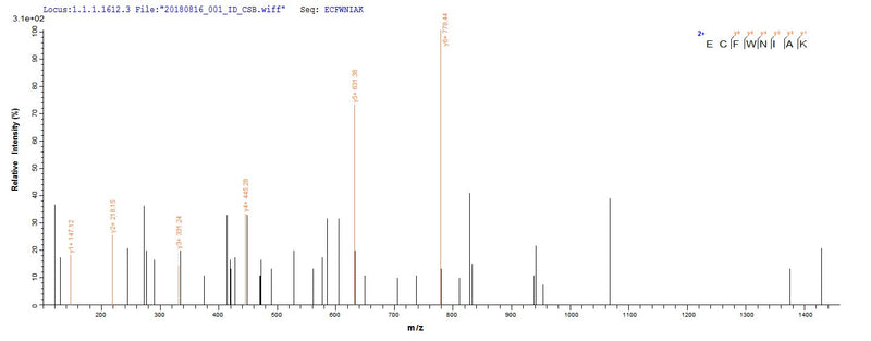 Based on the SEQUEST from database of E.coli host and target protein, the LC-MS/MS Analysis result of this product could indicate that this peptide derived from E.coli-expressed Treponema phagedenis tmpB.