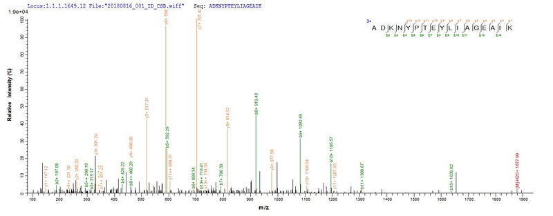Based on the SEQUEST from database of E.coli host and target protein, the LC-MS/MS Analysis result of this product could indicate that this peptide derived from E.coli-expressed Treponema phagedenis tmpB.