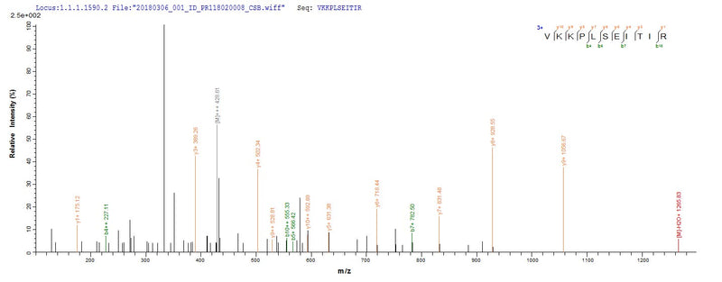 Based on the SEQUEST from database of E.coli host and target protein, the LC-MS/MS Analysis result of this product could indicate that this peptide derived from E.coli-expressed Human papillomavirus type 52 E6.Recombinant Human Papillomavirus Type 52 Protein E6 (E6) Protein (His-SUMO)