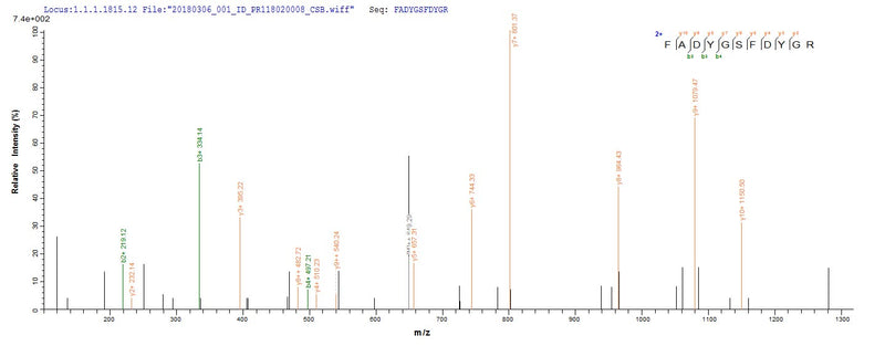 Based on the SEQUEST from database of E.coli host and target protein, the LC-MS/MS Analysis result of this product could indicate that this peptide derived from E.coli-expressed Salmonella typhimurium (strain LT2 / SGSC1412 / ATCC 700720) ompD.Recombinant Salmonella Typhimurium Outer Membrane Porin Protein Ompd (OMPD) Protein (His-SUMO)