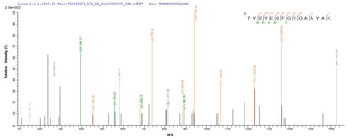 Based on the SEQUEST from database of E.coli host and target protein, the LC-MS/MS Analysis result of this product could indicate that this peptide derived from E.coli-expressed Salmonella typhimurium (strain LT2 / SGSC1412 / ATCC 700720) ompD.Recombinant Salmonella Typhimurium Outer Membrane Porin Protein Ompd (OMPD) Protein (His-SUMO)
