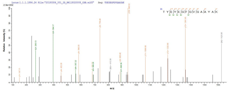 Based on the SEQUEST from database of E.coli host and target protein, the LC-MS/MS Analysis result of this product could indicate that this peptide derived from E.coli-expressed Salmonella typhimurium (strain LT2 / SGSC1412 / ATCC 700720) ompD.Recombinant Salmonella Typhimurium Outer Membrane Porin Protein Ompd (OMPD) Protein (His-SUMO)