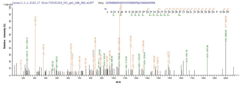 Based on the SEQUEST from database of E.coli host and target protein, the LC-MS/MS Analysis result of this product could indicate that this peptide derived from E.coli-expressed Bacillus subtilis (strain 168) pbpD.Recombinant Bacillus Subtilis Penicillin-Binding Protein 4 (PBPD) Protein (His-SUMO)