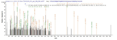 Based on the SEQUEST from database of E.coli host and target protein, the LC-MS/MS Analysis result of this product could indicate that this peptide derived from E.coli-expressed Bacillus subtilis (strain 168) pbpD.Recombinant Bacillus Subtilis Penicillin-Binding Protein 4 (PBPD) Protein (His-SUMO)