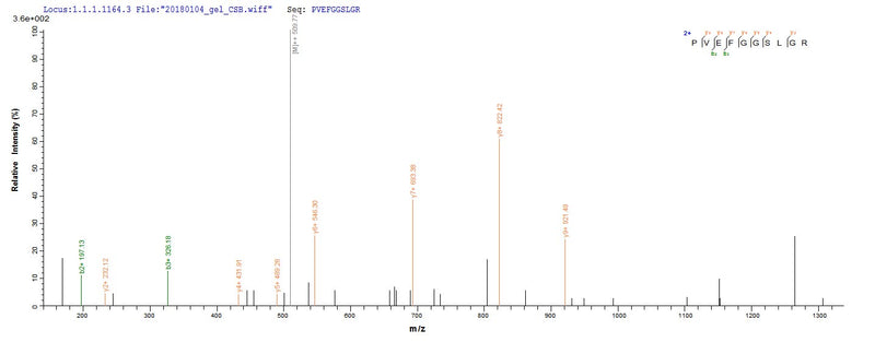 Based on the SEQUEST from database of E.coli host and target protein, the LC-MS/MS Analysis result of this product could indicate that this peptide derived from E.coli-expressed Peptoclostridium difficile (Clostridium difficile) gluD.Recombinant Peptoclostridium Difficile Nad-Specific Glutamate Dehydrogenase (GLUD) Protein (His-SUMO)