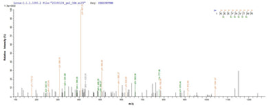 Based on the SEQUEST from database of E.coli host and target protein, the LC-MS/MS Analysis result of this product could indicate that this peptide derived from E.coli-expressed Peptoclostridium difficile (Clostridium difficile) gluD.Recombinant Peptoclostridium Difficile Nad-Specific Glutamate Dehydrogenase (GLUD) Protein (His-SUMO)