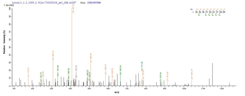 Based on the SEQUEST from database of E.coli host and target protein, the LC-MS/MS Analysis result of this product could indicate that this peptide derived from E.coli-expressed Peptoclostridium difficile (Clostridium difficile) gluD.Recombinant Peptoclostridium Difficile Nad-Specific Glutamate Dehydrogenase (GLUD) Protein (His-SUMO)