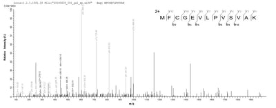 Based on the SEQUEST from database of E.coli host and target protein, the LC-MS/MS Analysis result of this product could indicate that this peptide derived from E.coli-expressed Bacillus subtilis (strain 168) dltA.Recombinant Bacillus Subtilis D-Alanine--D-Alanyl Carrier Protein Ligase (DLTA) Protein (His)