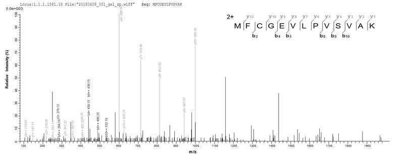 Based on the SEQUEST from database of E.coli host and target protein, the LC-MS/MS Analysis result of this product could indicate that this peptide derived from E.coli-expressed Bacillus subtilis (strain 168) dltA.Recombinant Bacillus Subtilis D-Alanine--D-Alanyl Carrier Protein Ligase (DLTA) Protein (His)