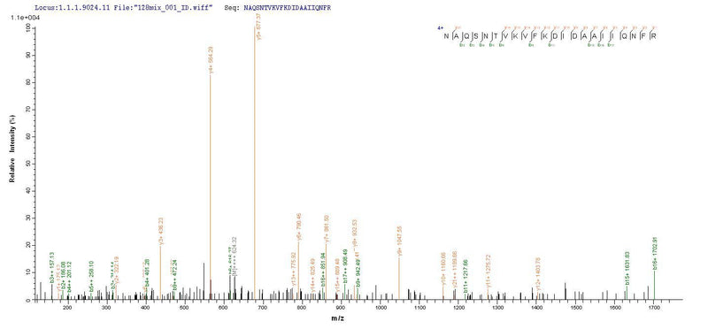 Based on the SEQUEST from database of E.coli host and target protein, the LC-MS/MS Analysis result of this product could indicate that this peptide derived from E.coli-expressed Salmonella typhimurium (strain LT2 / SGSC1412 / ATCC 700720) prgI.Recombinant Salmonella Typhimurium Protein Prgi (PRGI) Protein (His-SUMO)