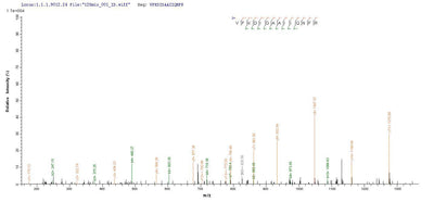 Based on the SEQUEST from database of E.coli host and target protein, the LC-MS/MS Analysis result of this product could indicate that this peptide derived from E.coli-expressed Salmonella typhimurium (strain LT2 / SGSC1412 / ATCC 700720) prgI.Recombinant Salmonella Typhimurium Protein Prgi (PRGI) Protein (His-SUMO)