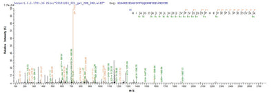 Based on the SEQUEST from database of E.coli host and target protein, the LC-MS/MS Analysis result of this product could indicate that this peptide derived from E.coli-expressed Streptococcus pneumoniae psaA.