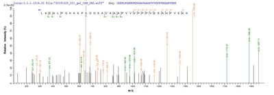 Based on the SEQUEST from database of E.coli host and target protein, the LC-MS/MS Analysis result of this product could indicate that this peptide derived from E.coli-expressed Arabidopsis thaliana (Mouse-ear cress) ERD14.Recombinant Arabidopsis Thaliana Dehydrin Erd14 (ERD14) Protein (His&Myc)