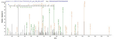 Based on the SEQUEST from database of E.coli host and target protein, the LC-MS/MS Analysis result of this product could indicate that this peptide derived from E.coli-expressed Arabidopsis thaliana (Mouse-ear cress) ERD14.Recombinant Arabidopsis Thaliana Dehydrin Erd14 (ERD14) Protein (His&Myc)