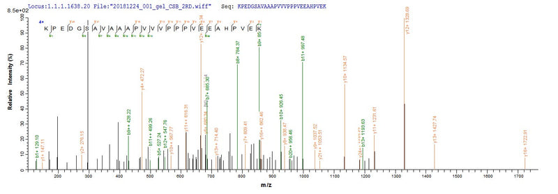 Based on the SEQUEST from database of E.coli host and target protein, the LC-MS/MS Analysis result of this product could indicate that this peptide derived from E.coli-expressed Arabidopsis thaliana (Mouse-ear cress) ERD14.Recombinant Arabidopsis Thaliana Dehydrin Erd14 (ERD14) Protein (His&Myc)