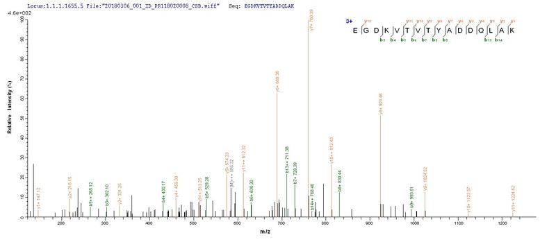 Based on the SEQUEST from database of E.coli host and target protein, the LC-MS/MS Analysis result of this product could indicate that this peptide derived from E.coli-expressed Helicobacter pylori (strain ATCC 700392 / 26695) (Campylobacter pylori) dps.