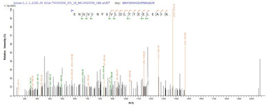 Based on the SEQUEST from database of E.coli host and target protein, the LC-MS/MS Analysis result of this product could indicate that this peptide derived from E.coli-expressed Bos taurus (Bovine) N.