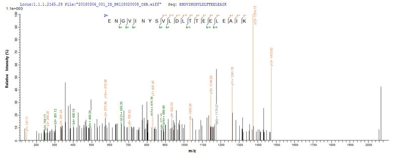 Based on the SEQUEST from database of E.coli host and target protein, the LC-MS/MS Analysis result of this product could indicate that this peptide derived from E.coli-expressed Bos taurus (Bovine) N.