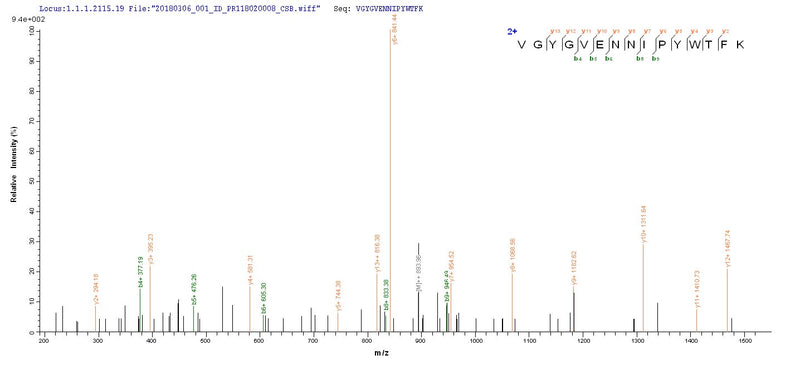 Based on the SEQUEST from database of E.coli host and target protein, the LC-MS/MS Analysis result of this product could indicate that this peptide derived from E.coli-expressed Autographa californica nuclear polyhedrosis virus (AcMNPV) VCATH.
