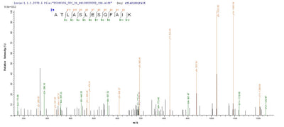 Based on the SEQUEST from database of E.coli host and target protein, the LC-MS/MS Analysis result of this product could indicate that this peptide derived from E.coli-expressed Autographa californica nuclear polyhedrosis virus (AcMNPV) VCATH.