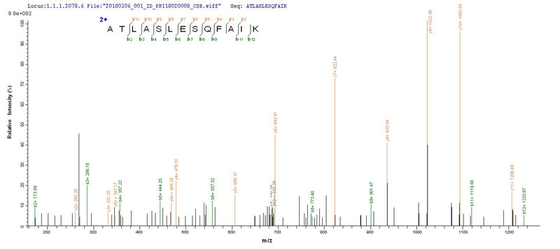 Based on the SEQUEST from database of E.coli host and target protein, the LC-MS/MS Analysis result of this product could indicate that this peptide derived from E.coli-expressed Autographa californica nuclear polyhedrosis virus (AcMNPV) VCATH.