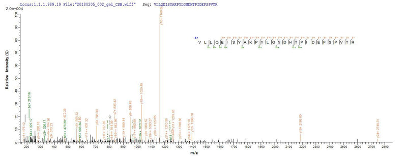 Based on the SEQUEST from database of E.coli host and target protein, the LC-MS/MS Analysis result of this product could indicate that this peptide derived from E.coli-expressed Clostridium botulinum botF.Recombinant Clostridium Botulinum Botulinum Neurotoxin Type F (BOTF) Protein (His)