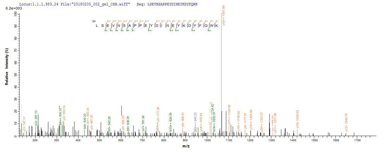 Based on the SEQUEST from database of E.coli host and target protein, the LC-MS/MS Analysis result of this product could indicate that this peptide derived from E.coli-expressed Clostridium botulinum botF.Recombinant Clostridium Botulinum Botulinum Neurotoxin Type F (BOTF) Protein (His)