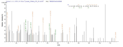 Based on the SEQUEST from database of E.coli host and target protein, the LC-MS/MS Analysis result of this product could indicate that this peptide derived from E.coli-expressed Dermatophagoides pteronyssinus (European house dust mite) DERP2.Recombinant Dermatophagoides Pteronyssinus Mite Group 2 Allergen Der P 2 (DERP2) Protein (His-SUMO)