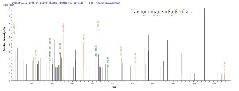 Based on the SEQUEST from database of E.coli host and target protein, the LC-MS/MS Analysis result of this product could indicate that this peptide derived from E.coli-expressed Dermatophagoides pteronyssinus (European house dust mite) DERP2.Recombinant Dermatophagoides Pteronyssinus Mite Group 2 Allergen Der P 2 (DERP2) Protein (His-SUMO)
