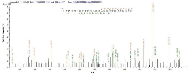 Based on the SEQUEST from database of E.coli host and target protein, the LC-MS/MS Analysis result of this product could indicate that this peptide derived from E.coli-expressed Helicobacter pylori (strain ATCC 700392 / 26695) (Campylobacter pylori) vacA.Recombinant Helicobacter Pylori Vacuolating Cytotoxin Autotransporter (VACA) Protein (His-B2M)