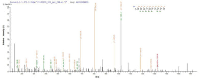 Based on the SEQUEST from database of E.coli host and target protein, the LC-MS/MS Analysis result of this product could indicate that this peptide derived from E.coli-expressed Helicobacter pylori (strain ATCC 700392 / 26695) (Campylobacter pylori) vacA.Recombinant Helicobacter Pylori Vacuolating Cytotoxin Autotransporter (VACA) Protein (His-B2M)