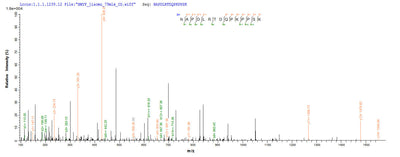 Based on the SEQUEST from database of E.coli host and target protein, the LC-MS/MS Analysis result of this product could indicate that this peptide derived from E.coli-expressed Chicken anemia virus (isolate USA 26p4) (CAV) VP3.Recombinant Chicken Anemia Virus Apoptin (VP3) Protein (His)