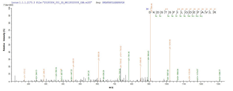 Based on the SEQUEST from database of E.coli host and target protein, the LC-MS/MS Analysis result of this product could indicate that this peptide derived from E.coli-expressed Bacteroides fragilis btfP.Recombinant Bacteroides Fragilis Fragilysin (BTFP) Protein (His-SUMO)