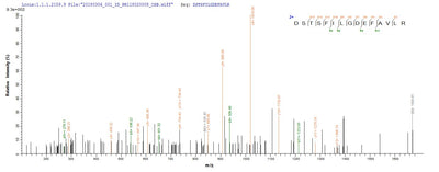 Based on the SEQUEST from database of E.coli host and target protein, the LC-MS/MS Analysis result of this product could indicate that this peptide derived from E.coli-expressed Bacteroides fragilis btfP.Recombinant Bacteroides Fragilis Fragilysin (BTFP) Protein (His-SUMO)