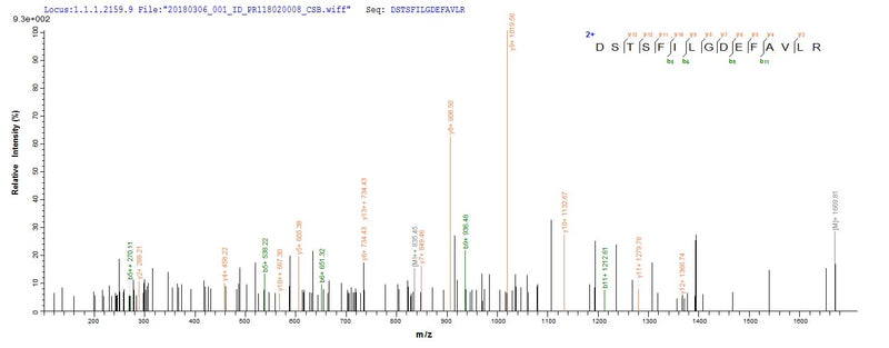 Based on the SEQUEST from database of E.coli host and target protein, the LC-MS/MS Analysis result of this product could indicate that this peptide derived from E.coli-expressed Bacteroides fragilis btfP.Recombinant Bacteroides Fragilis Fragilysin (BTFP) Protein (His-SUMO)