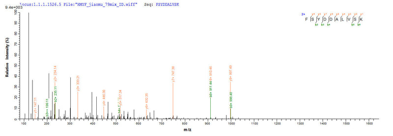 Based on the SEQUEST from database of E.coli host and target protein, the LC-MS/MS Analysis result of this product could indicate that this peptide derived from E.coli-expressed Blattella germanica (German cockroach) (Blatta germanica) rBla g 4.Recombinant Blattella Germanica Allergen Bla G 4 Protein (His-SUMO)