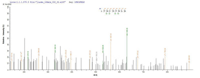 Based on the SEQUEST from database of E.coli host and target protein, the LC-MS/MS Analysis result of this product could indicate that this peptide derived from E.coli-expressed Mannheimia haemolytica (Pasteurella haemolytica) lktA.Recombinant Mannheimia Haemolytica Leukotoxin (LKTA) Protein (His&Myc)