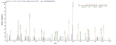 Based on the SEQUEST from database of E.coli host and target protein, the LC-MS/MS Analysis result of this product could indicate that this peptide derived from E.coli-expressed Mannheimia haemolytica (Pasteurella haemolytica) lktA.Recombinant Mannheimia Haemolytica Leukotoxin (LKTA) Protein (His&Myc)