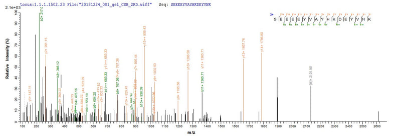 Based on the SEQUEST from database of E.coli host and target protein, the LC-MS/MS Analysis result of this product could indicate that this peptide derived from E.coli-expressed Human herpesvirus 7 (strain JI) (HHV-7) (Human T lymphotropic virus) gB.