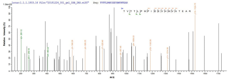 Based on the SEQUEST from database of E.coli host and target protein, the LC-MS/MS Analysis result of this product could indicate that this peptide derived from E.coli-expressed Human herpesvirus 7 (strain JI) (HHV-7) (Human T lymphotropic virus) gB.