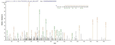 Based on the SEQUEST from database of E.coli host and target protein, the LC-MS/MS Analysis result of this product could indicate that this peptide derived from E.coli-expressed Escherichia coli O157:H7 ompT.