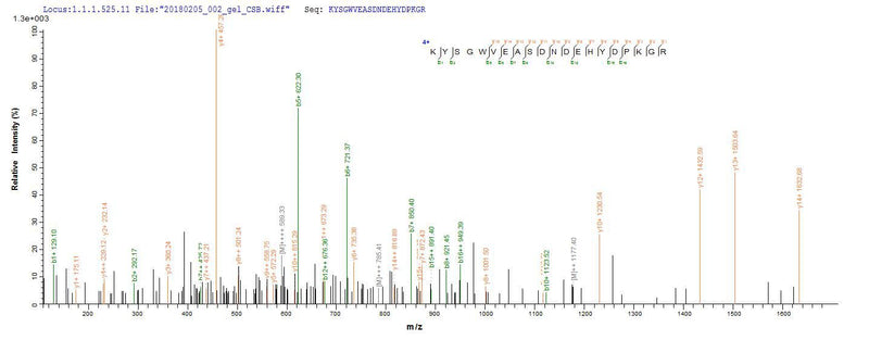 Based on the SEQUEST from database of E.coli host and target protein, the LC-MS/MS Analysis result of this product could indicate that this peptide derived from E.coli-expressed Escherichia coli O157:H7 ompT.