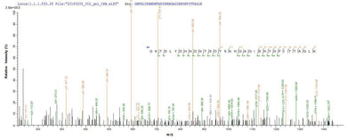 Based on the SEQUEST from database of E.coli host and target protein, the LC-MS/MS Analysis result of this product could indicate that this peptide derived from E.coli-expressed Escherichia coli O157:H7 ompT.
