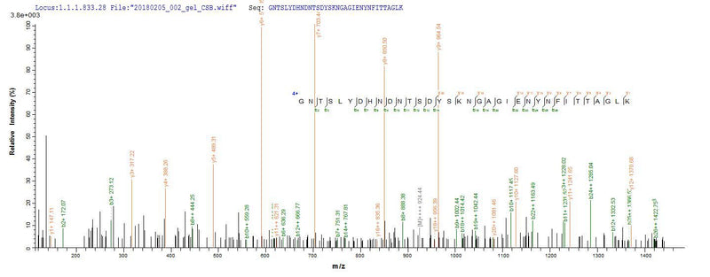 Based on the SEQUEST from database of E.coli host and target protein, the LC-MS/MS Analysis result of this product could indicate that this peptide derived from E.coli-expressed Escherichia coli O157:H7 ompT.