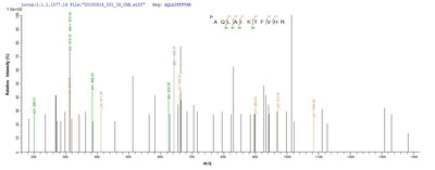 Based on the SEQUEST from database of E.coli host and target protein, the LC-MS/MS Analysis result of this product could indicate that this peptide derived from E.coli-expressed Escherichia coli O6:H1 (strain CFT073 / ATCC 700928 / UPEC) tdcD.Recombinant E.Coli O6:H1 Propionate Kinase (TDCD) Protein (His&Myc)