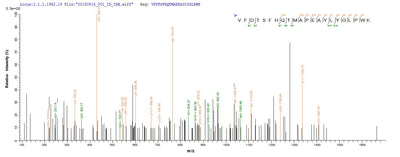 Based on the SEQUEST from database of E.coli host and target protein, the LC-MS/MS Analysis result of this product could indicate that this peptide derived from E.coli-expressed Escherichia coli O6:H1 (strain CFT073 / ATCC 700928 / UPEC) tdcD.Recombinant E.Coli O6:H1 Propionate Kinase (TDCD) Protein (His&Myc)