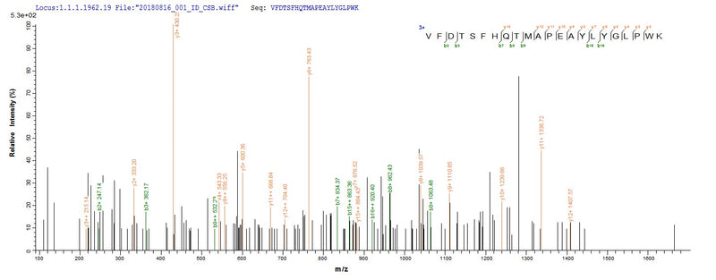 Based on the SEQUEST from database of E.coli host and target protein, the LC-MS/MS Analysis result of this product could indicate that this peptide derived from E.coli-expressed Escherichia coli O6:H1 (strain CFT073 / ATCC 700928 / UPEC) tdcD.Recombinant E.Coli O6:H1 Propionate Kinase (TDCD) Protein (His&Myc)
