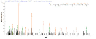 Based on the SEQUEST from database of E.coli host and target protein, the LC-MS/MS Analysis result of this product could indicate that this peptide derived from E.coli-expressed Centruroides suffusus suffusus (Mexican scorpion) Beta-mammal toxin Css4.