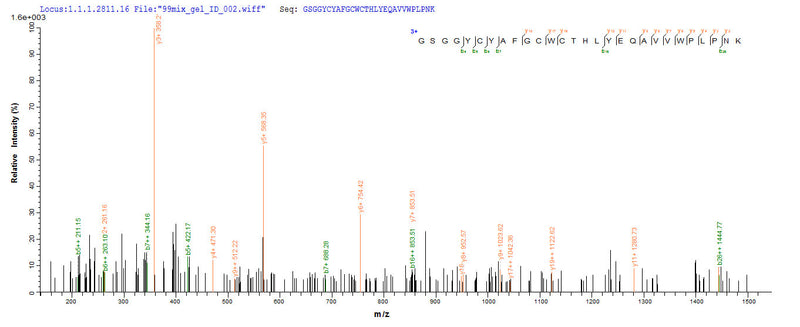 Based on the SEQUEST from database of E.coli host and target protein, the LC-MS/MS Analysis result of this product could indicate that this peptide derived from E.coli-expressed Centruroides suffusus suffusus (Mexican scorpion) Beta-mammal toxin Css4.
